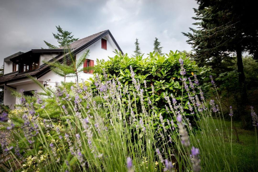 Apartament Le Conifere Pignola Zewnętrze zdjęcie